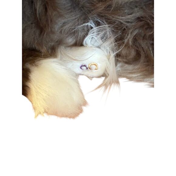 Cuddle Clones Shetland Sheepdog| SHELTIE| REALISTIC HANDCRAFTED| Plush 26" - Picture 7 of 15